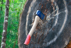 Axe Throwing 