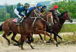 Horse Racing 