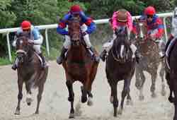 Horse Racing