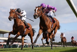 Horse Racing Haydock