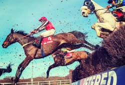 Horse Racing