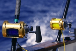 Fishing Rods