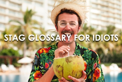 Stag Glossary For Idiots